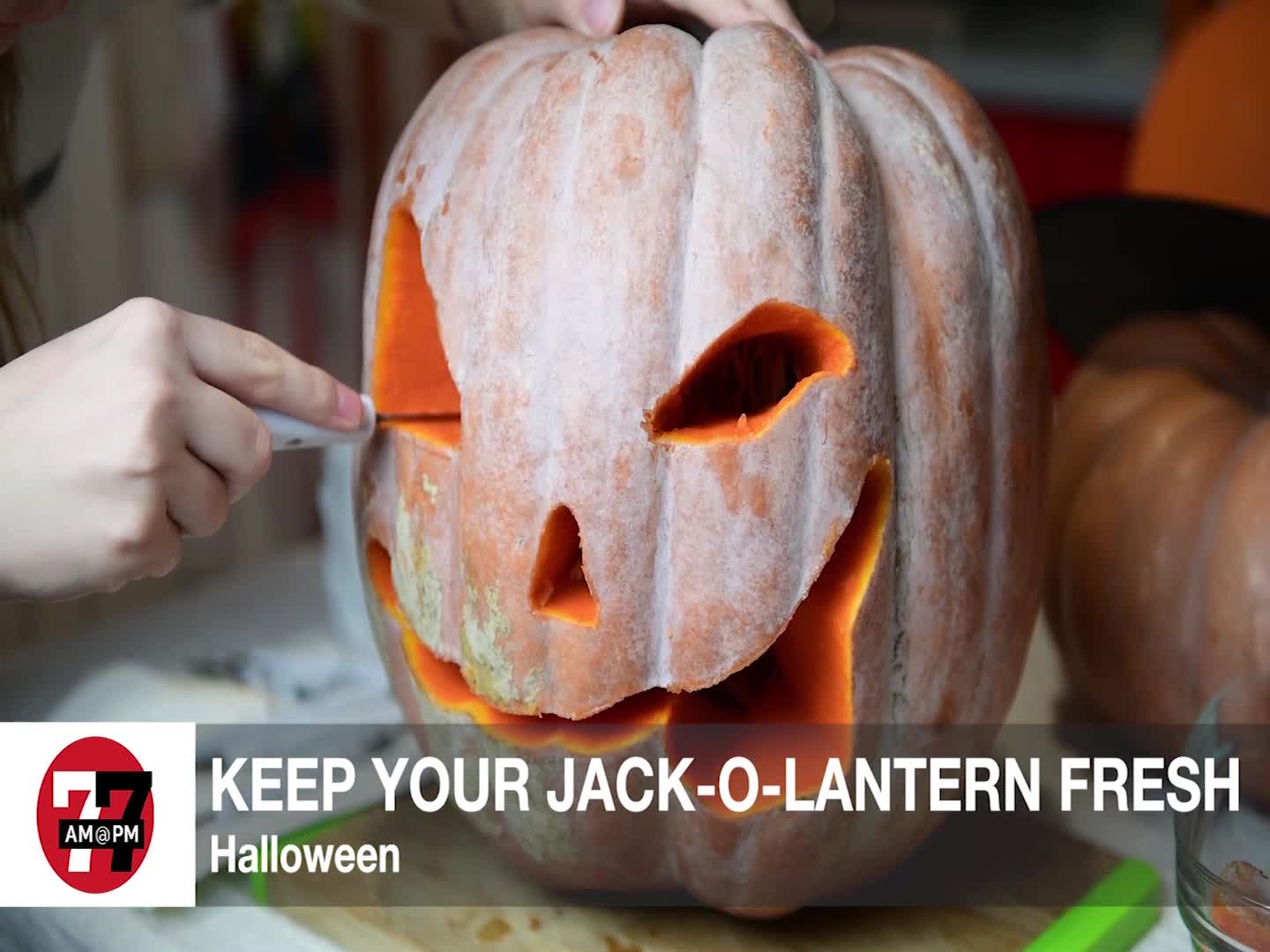 Keep Your Jack-O-Lantern Fresh