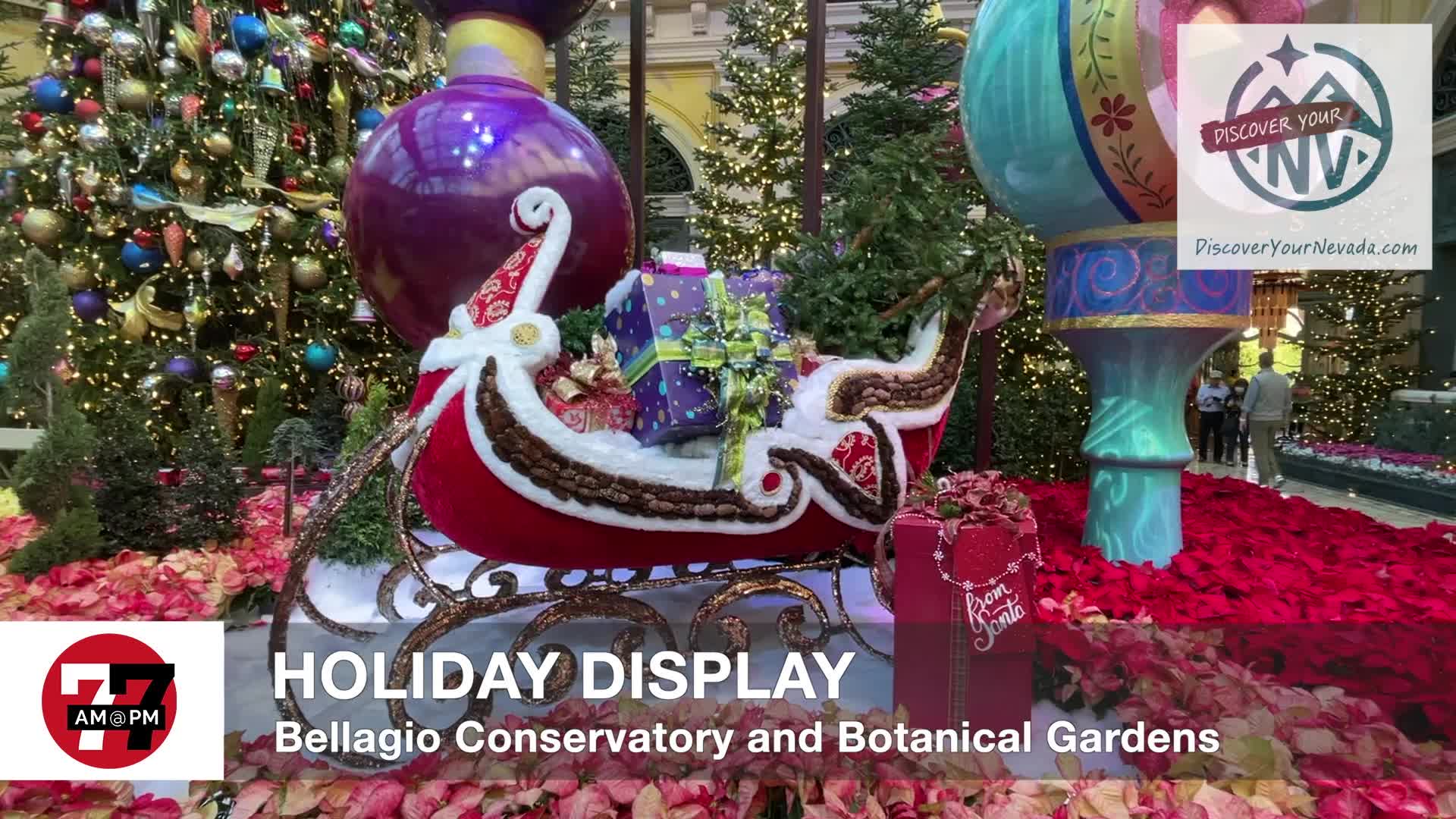 Holiday Display at Bellagio Conservatory