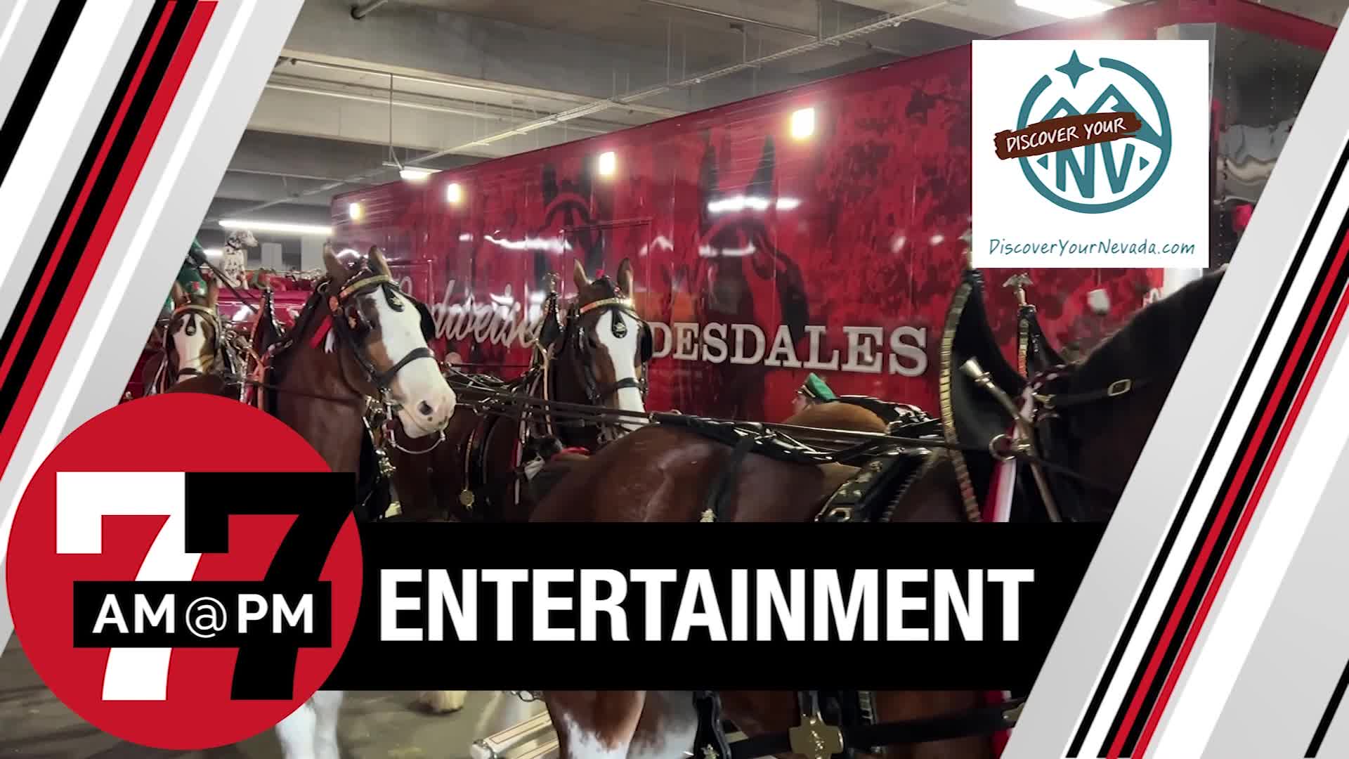 7@7PM Budweiser Clydesdales at South Point