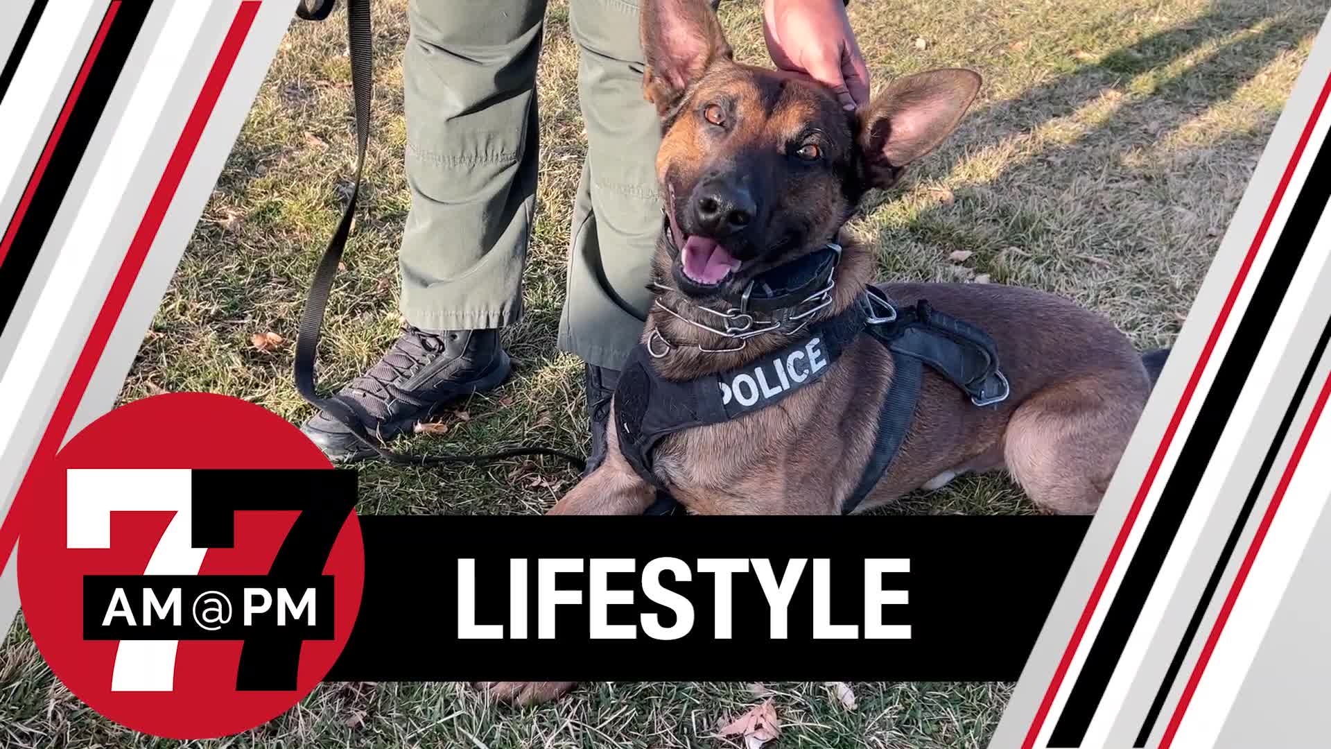 Dog Training Tip and Trips With North Las Vegas Police