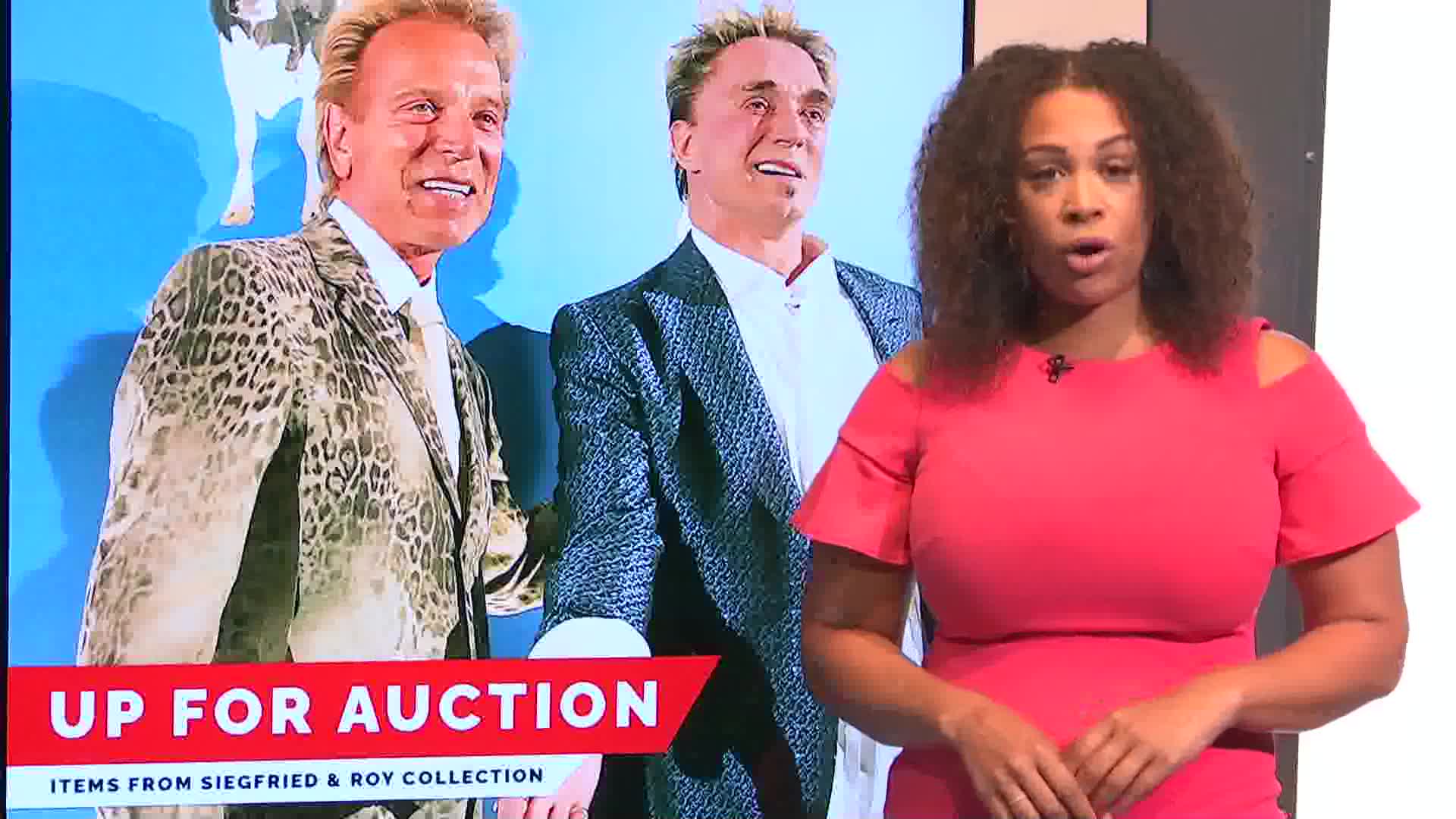 Siegfried & Roy Auction