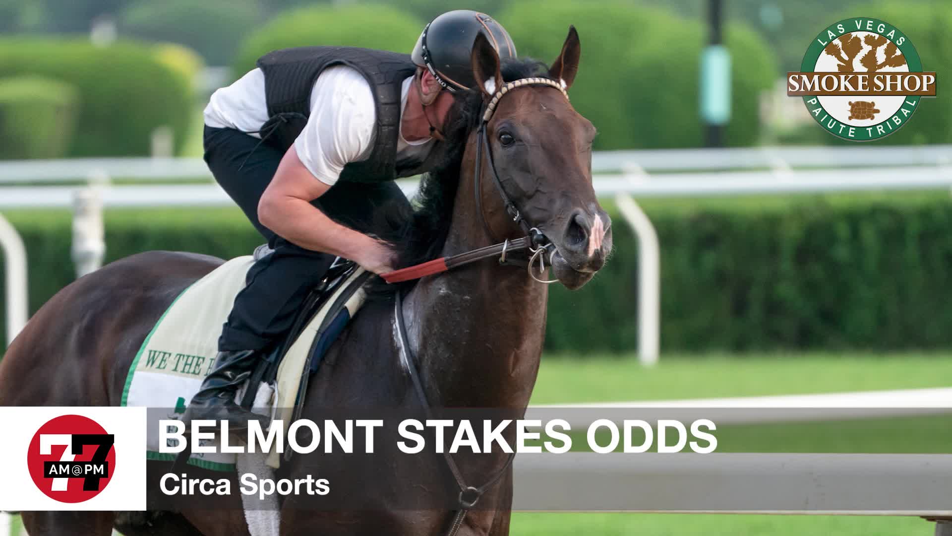 Belmont stakes odds