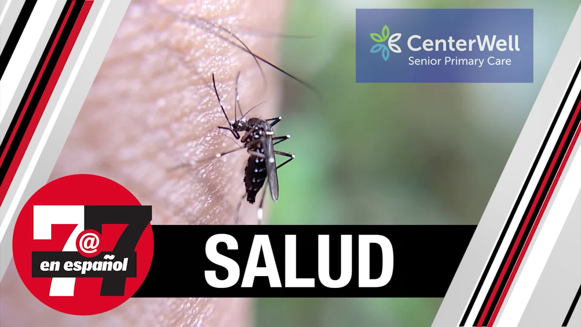 Oficiales lanzan campaña contra piscinas sucias que atraen mosquitos