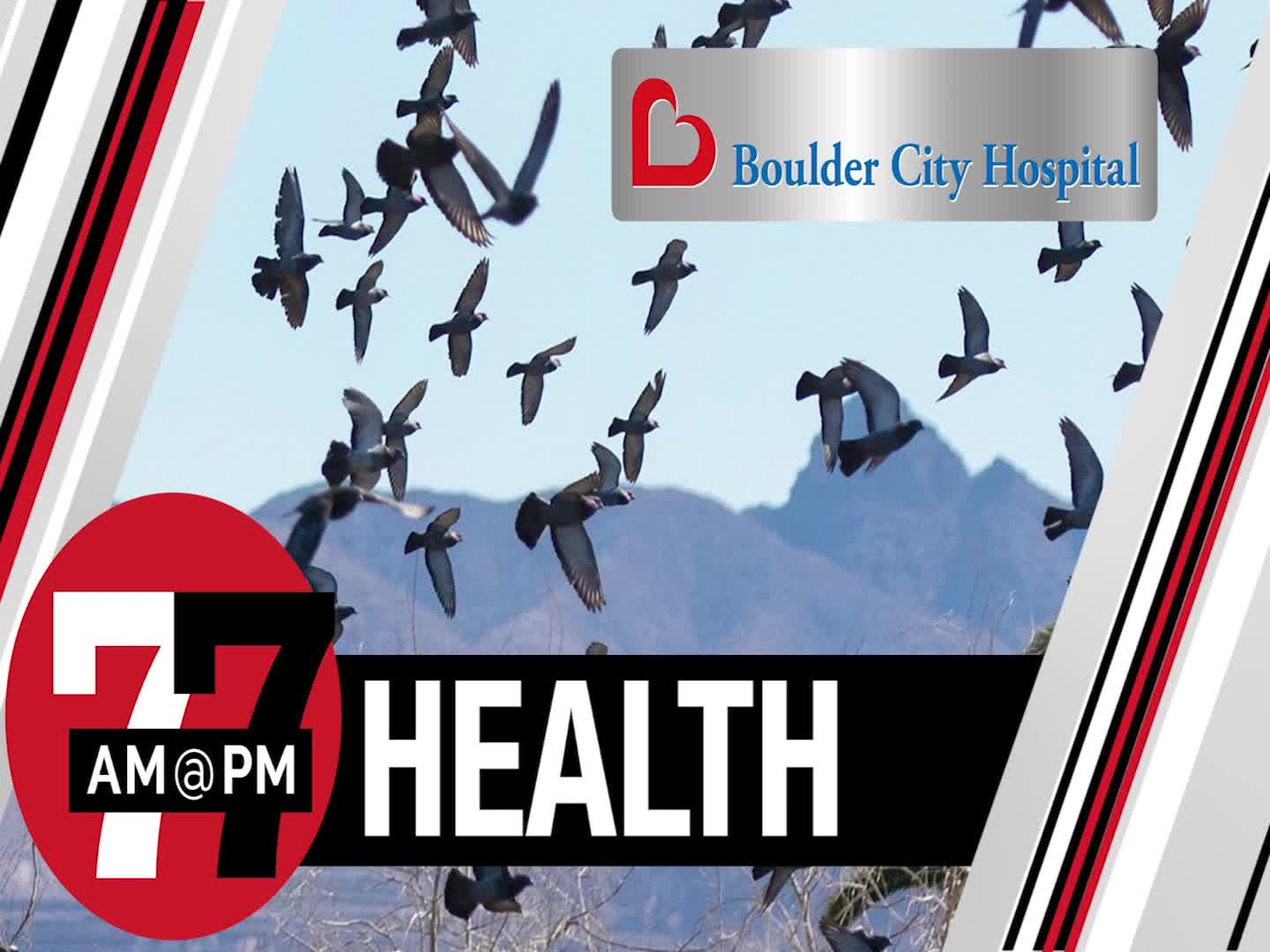 Officials Detect Bird Flu In Nevada