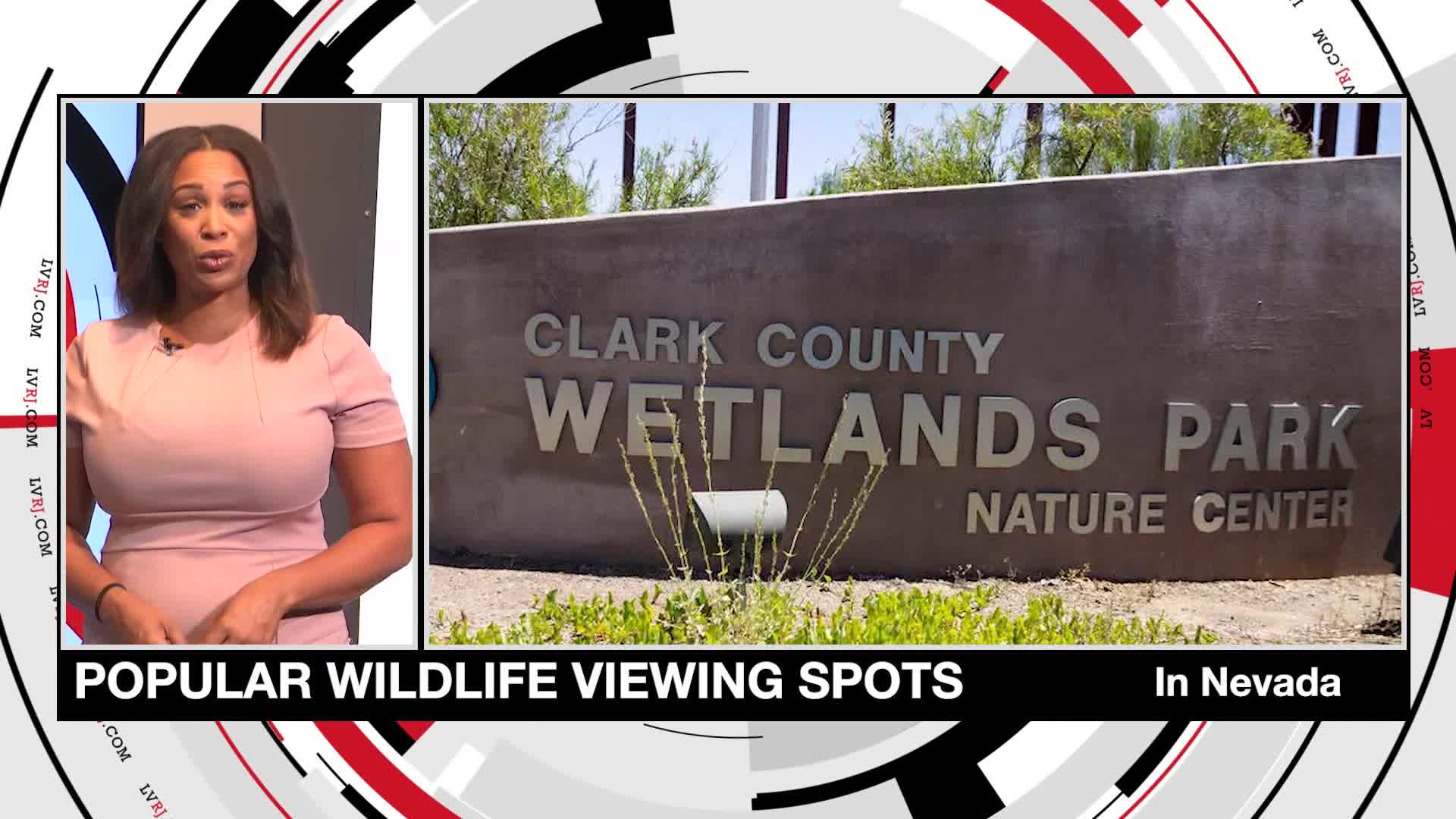 Places to view Wildlife in Las Vegas