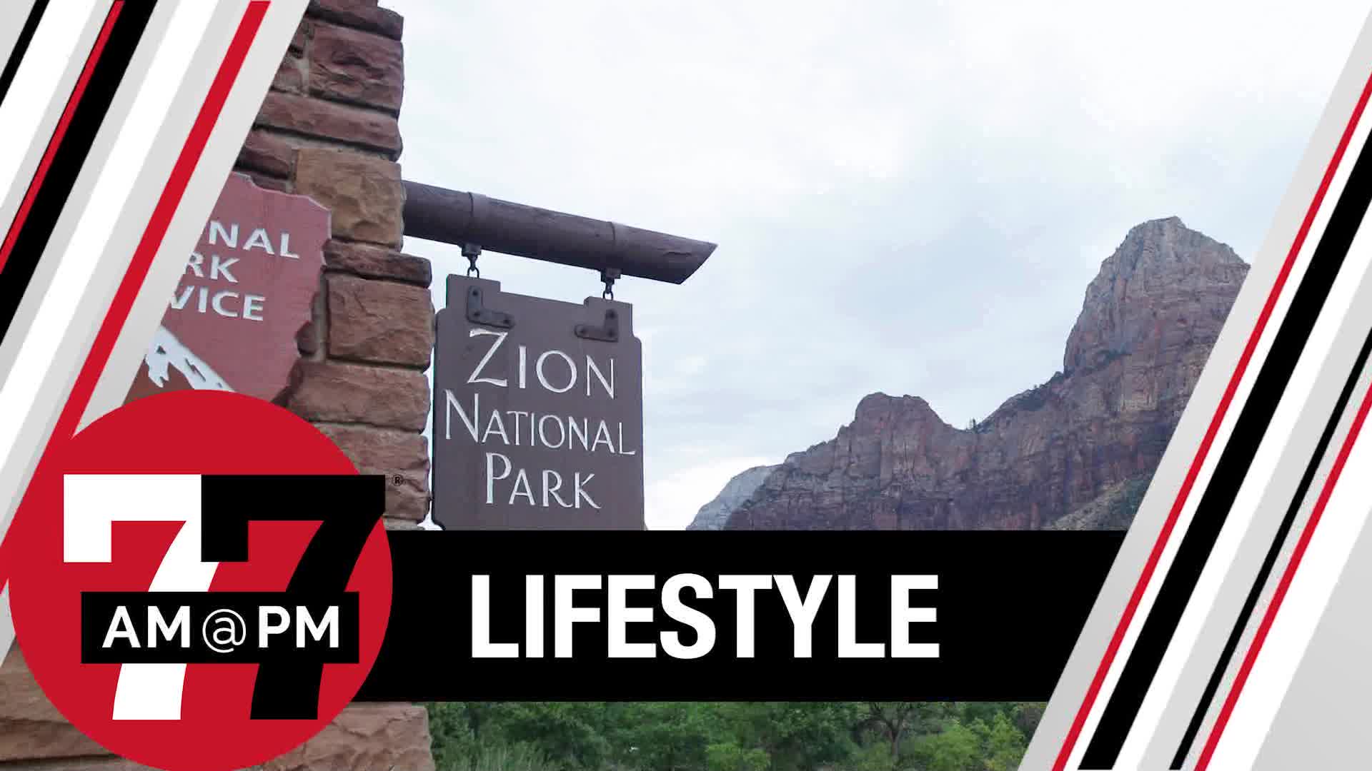 Climbing routes reopened at Zion