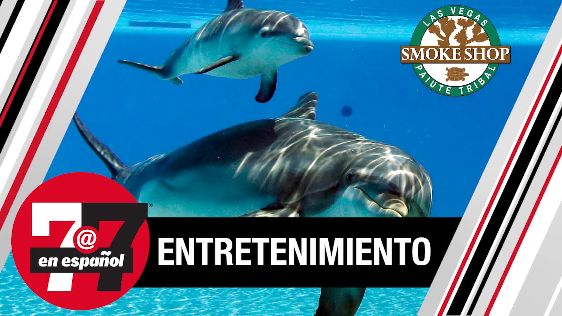 Cierran permanentemente hábitat de animales y delfines en el Strip