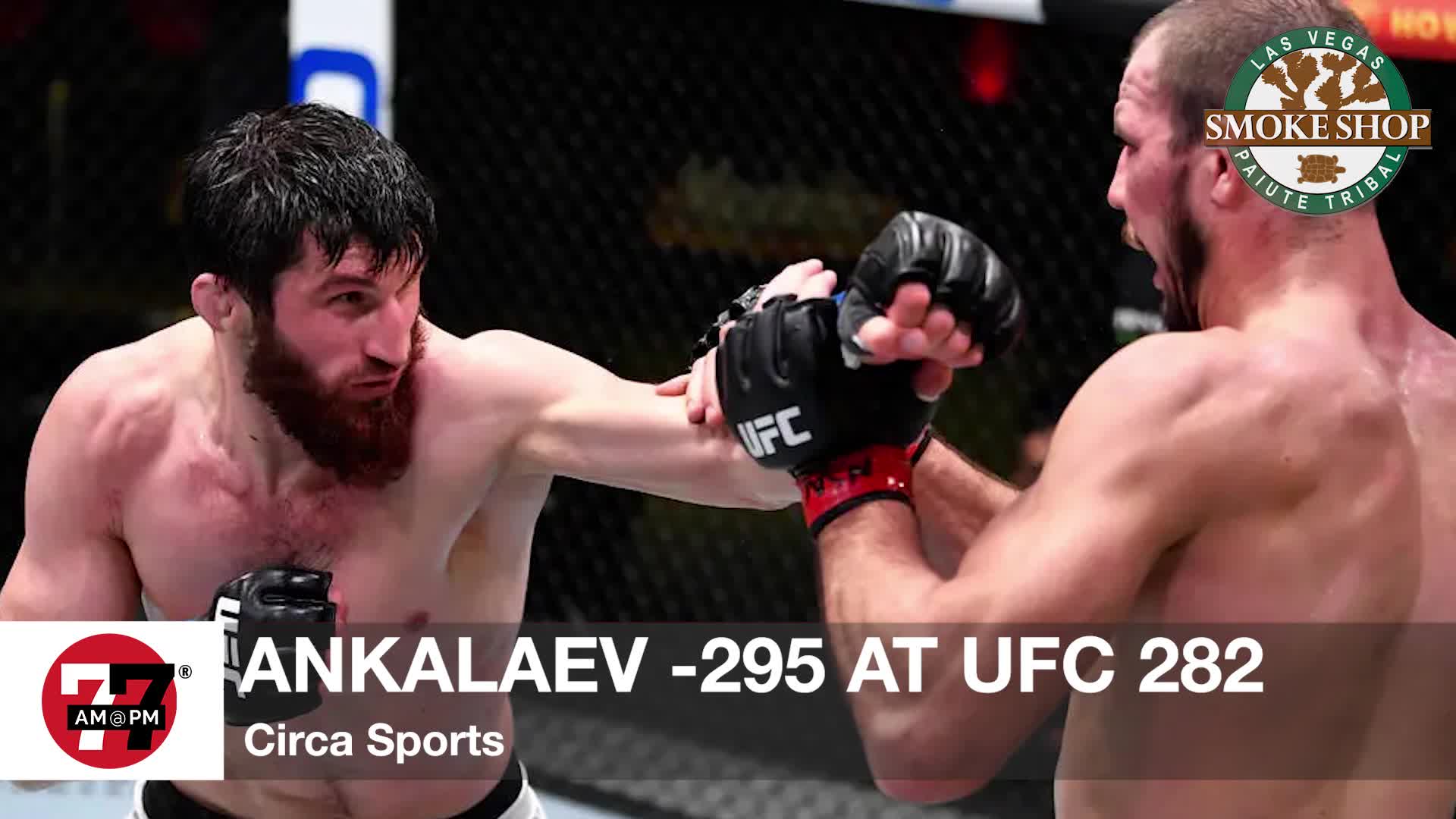 Ankalaev -295 at UFC 282