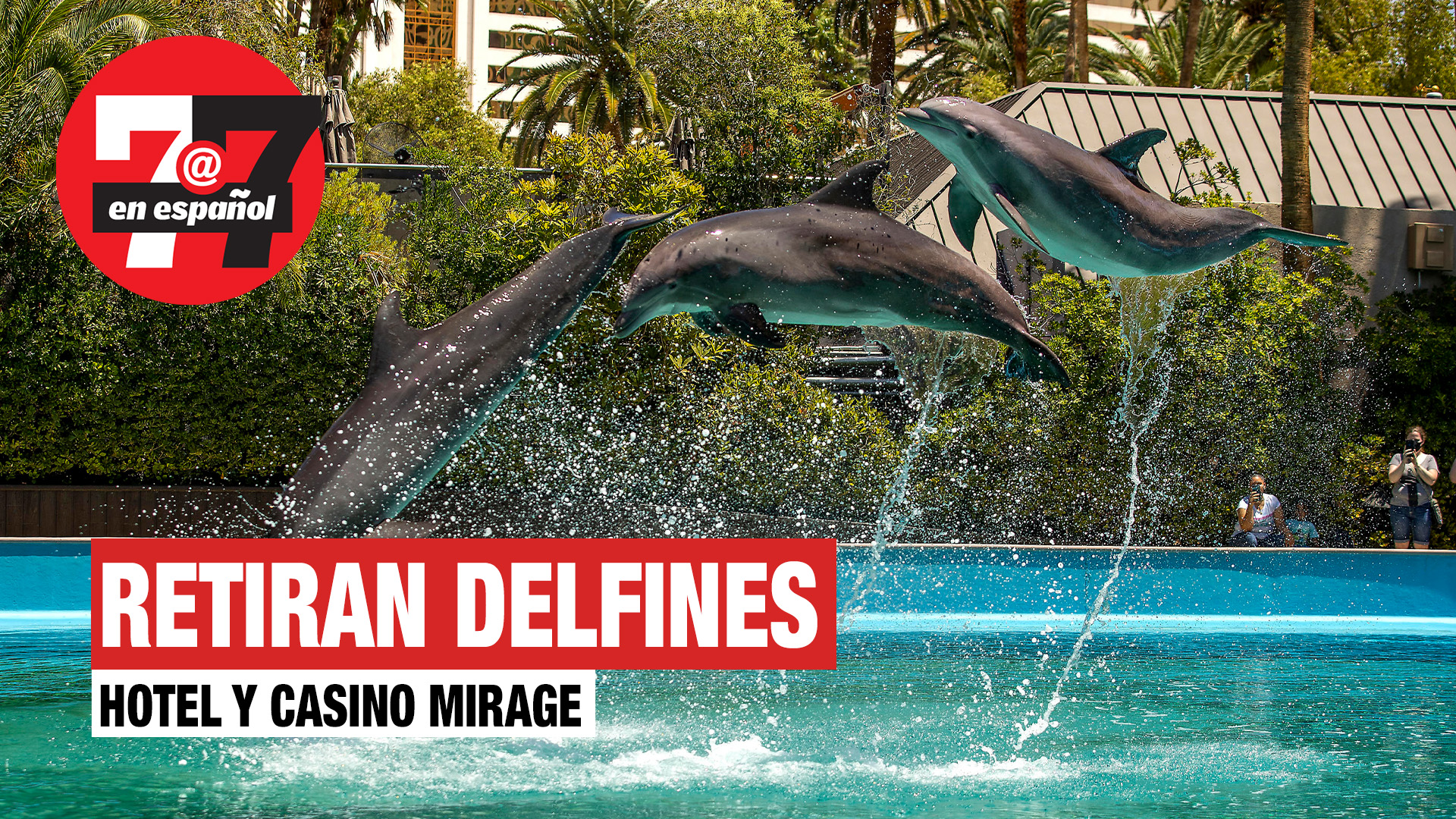 Noticias de Las Vegas | Retiran a delfines del hotel y casino Mirage