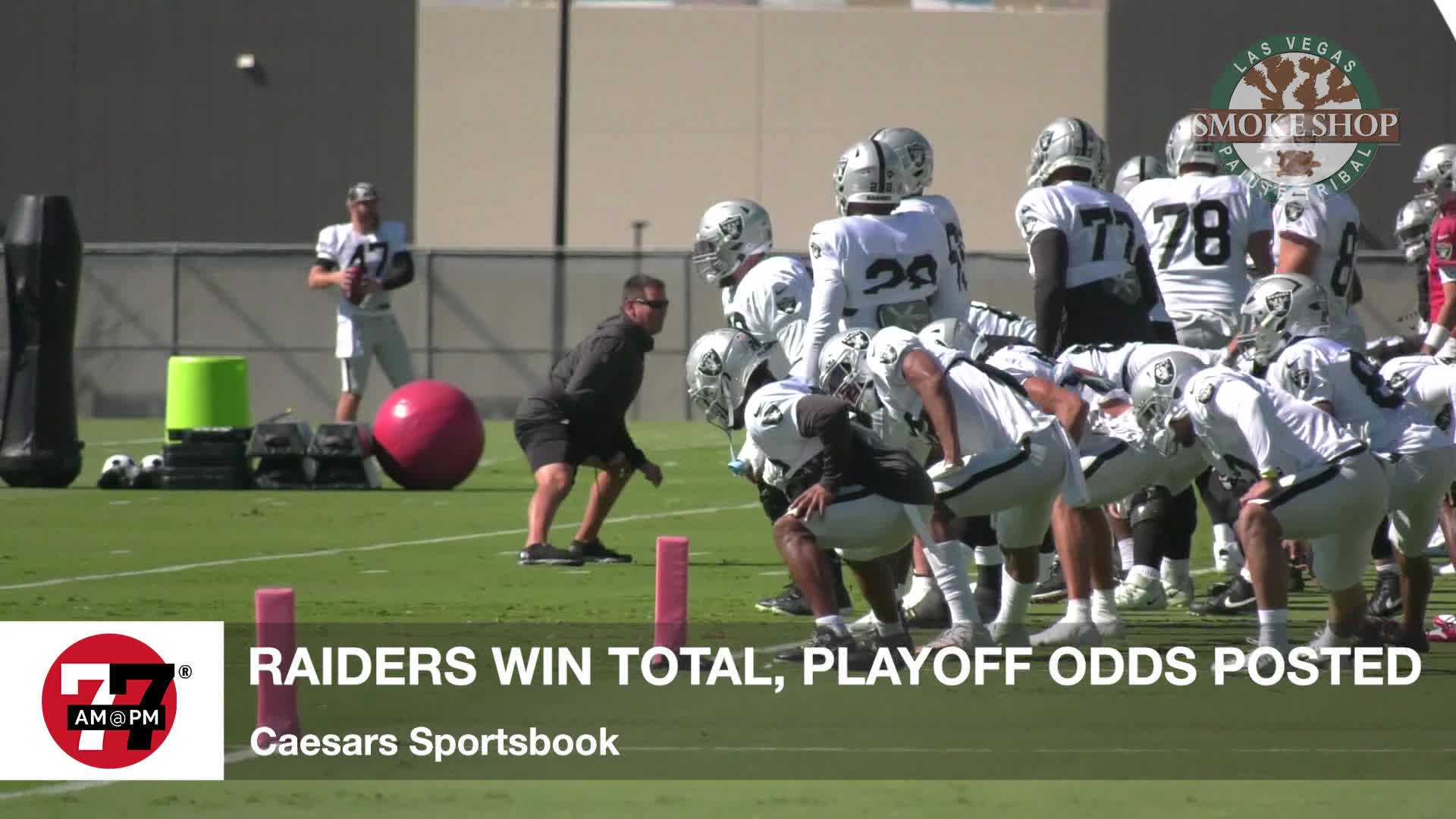 Raiders season odds and totals
