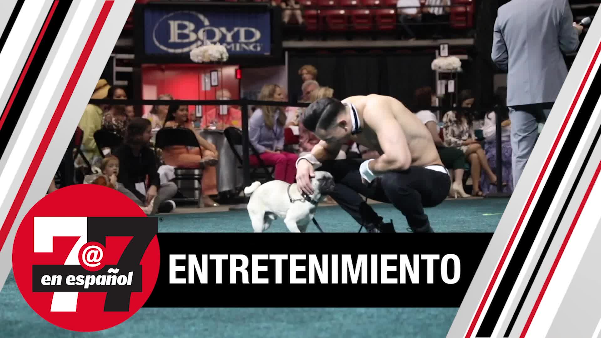 Evento de perros en Las Vegas para recaudar fondos