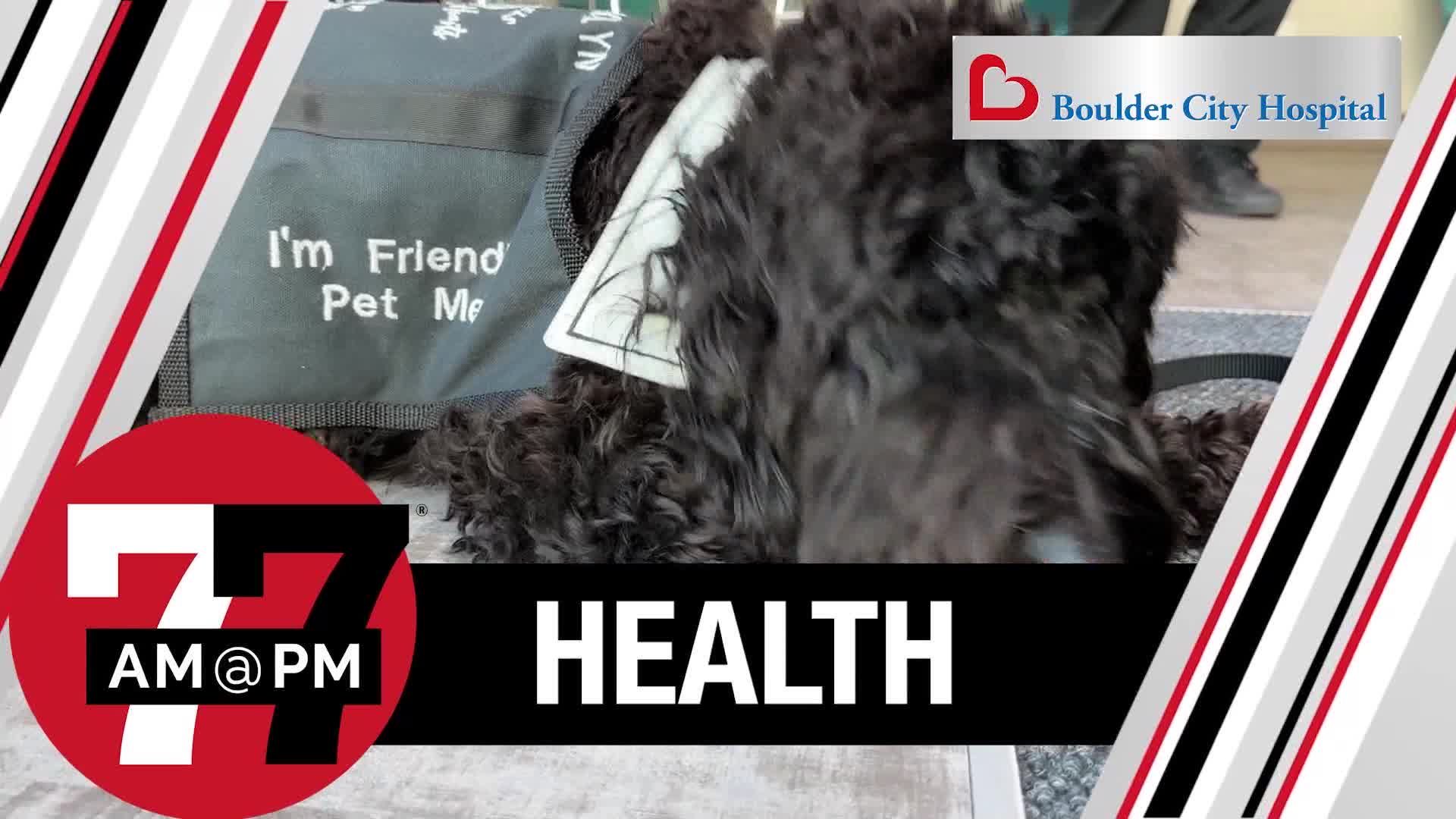 Therapy Dog provides mental health support