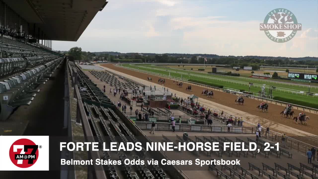Belmont stake odds at Caesars Sportsbook