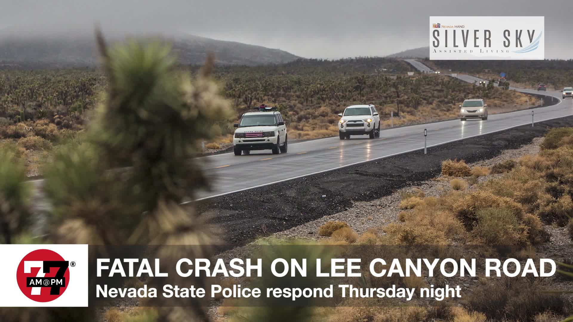 Fatal Crash on Lee Canyon Road