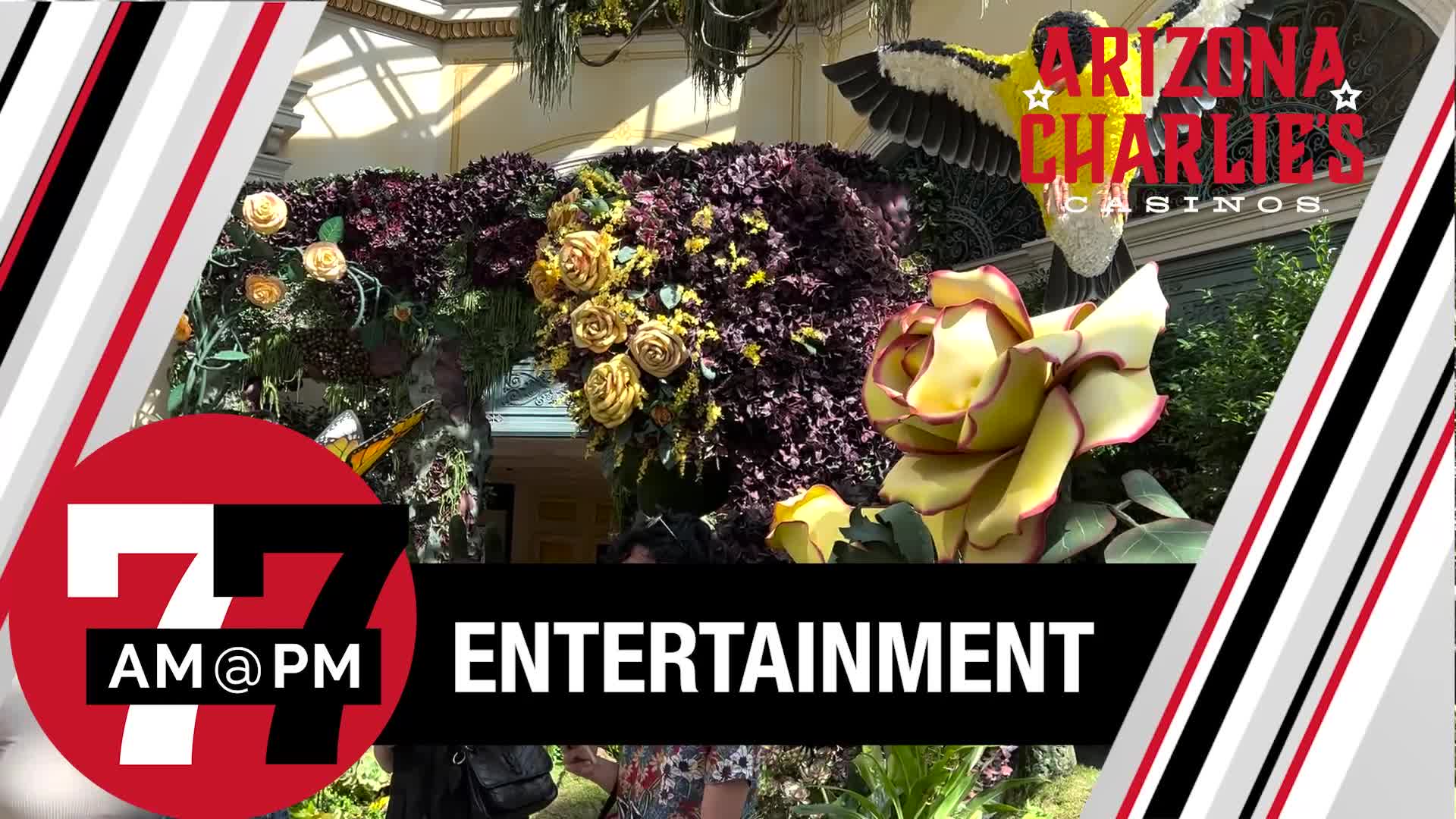 Bellagio Garden’s summer show sneak peek