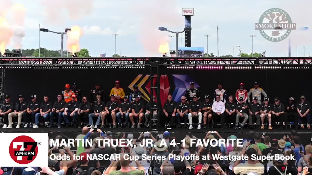 Odds for NASCAR Cup Series Playoffs