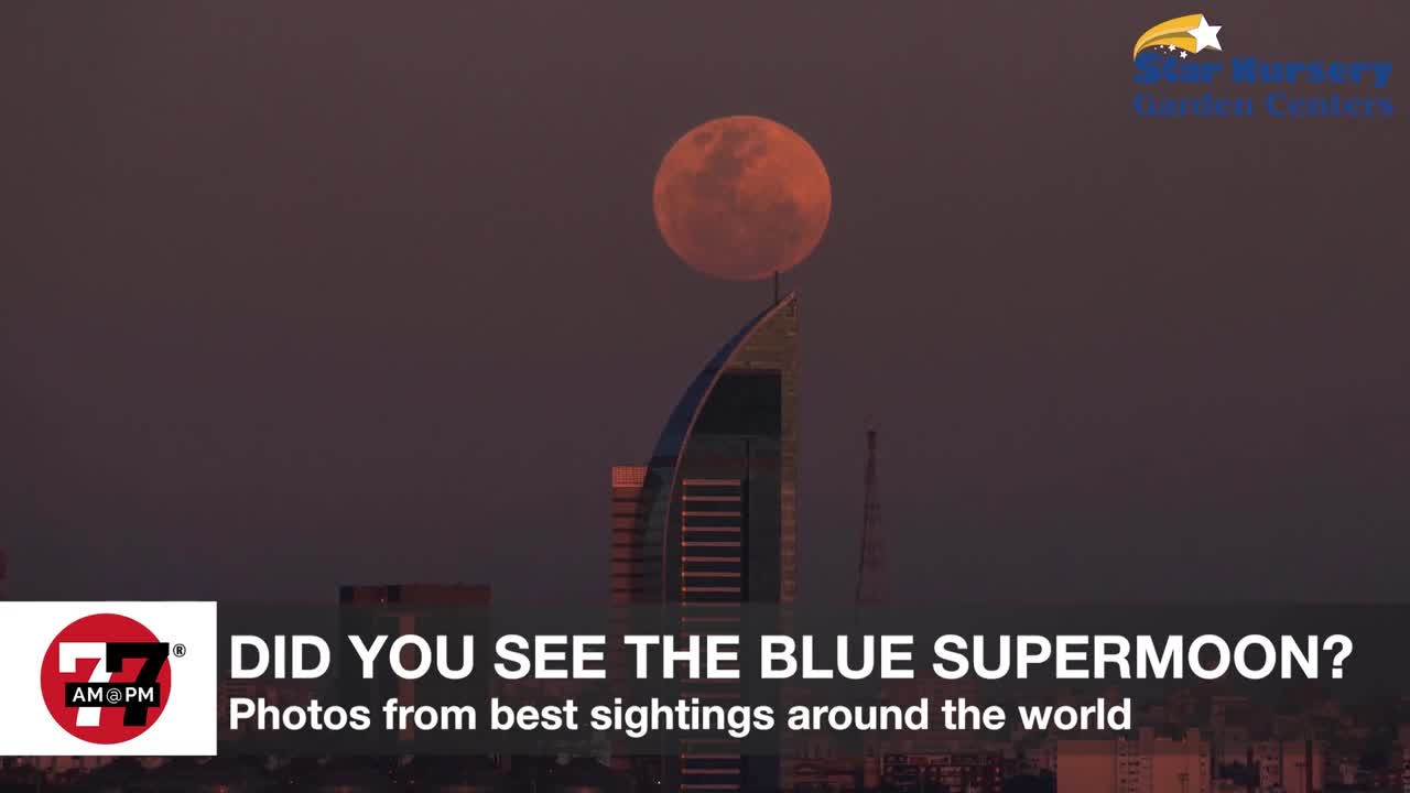 Best photos of the blue supermoon!