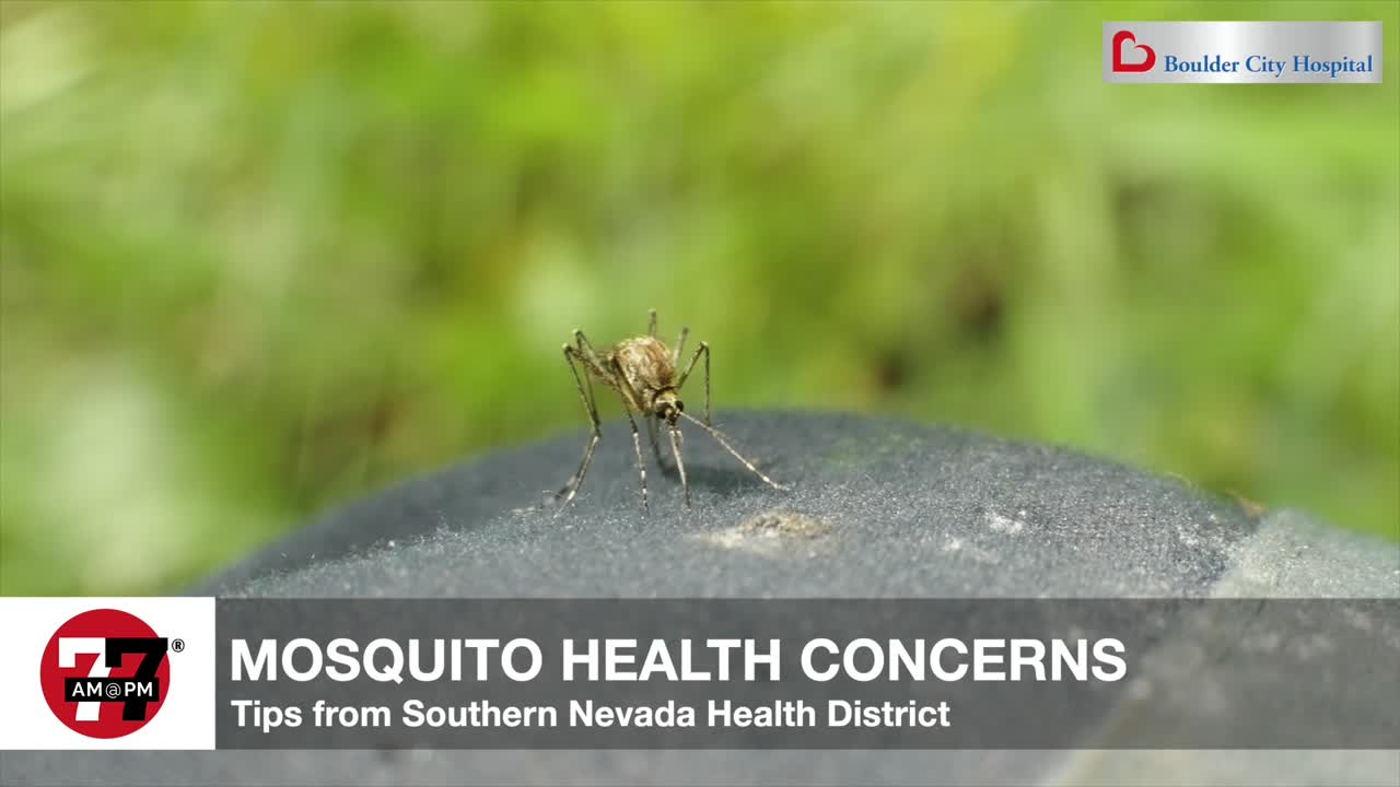 Mosquito health concerns