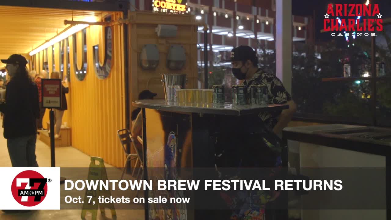 Brew festival returns