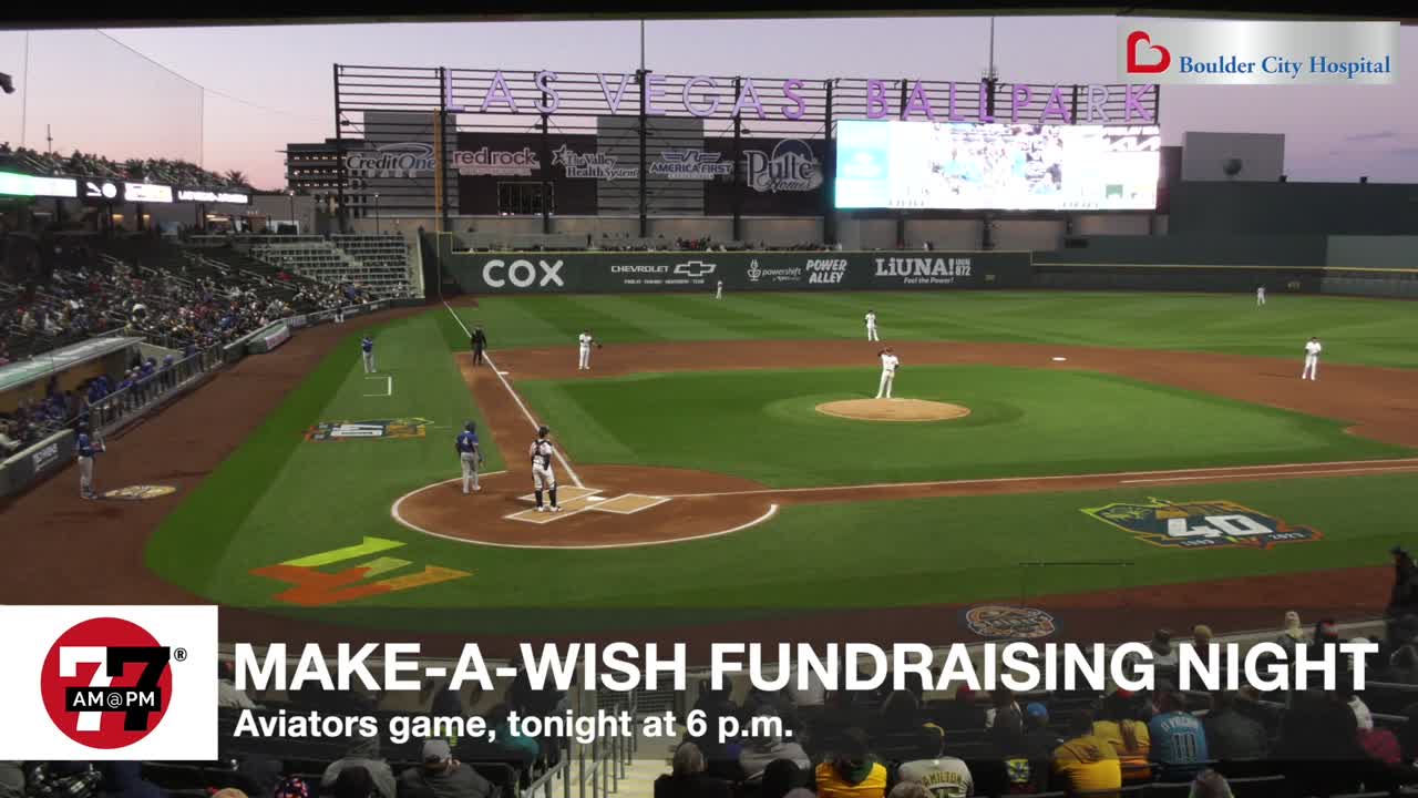 Make-a-wish Fundraising night