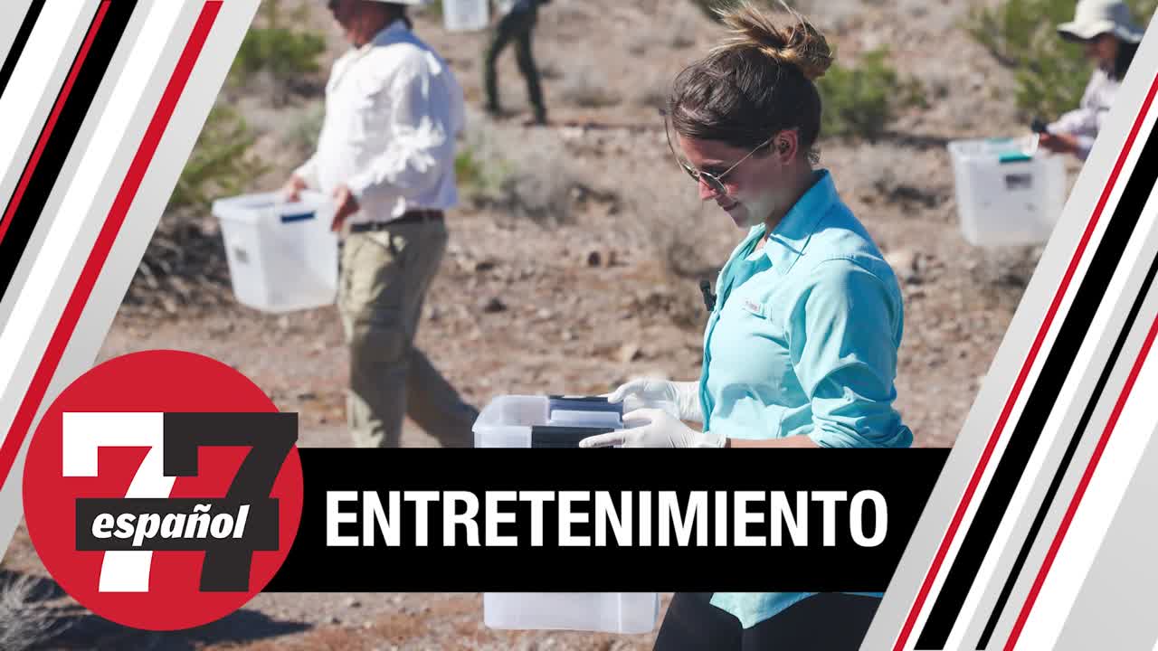 Liberan a decenas de tortugas de desierto cerca de Lake Mead