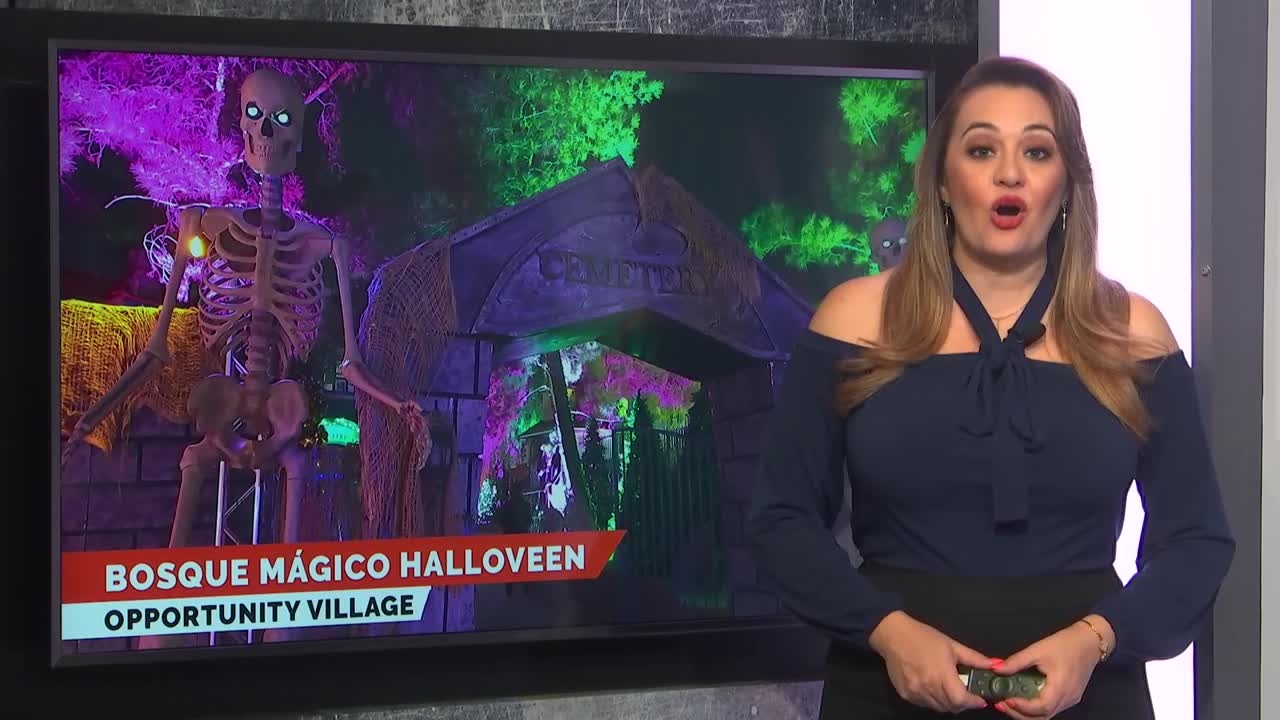 Halloween es un cementerio que cobra vida en las noches