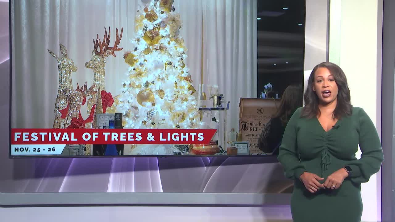 Festival of Trees and Lights