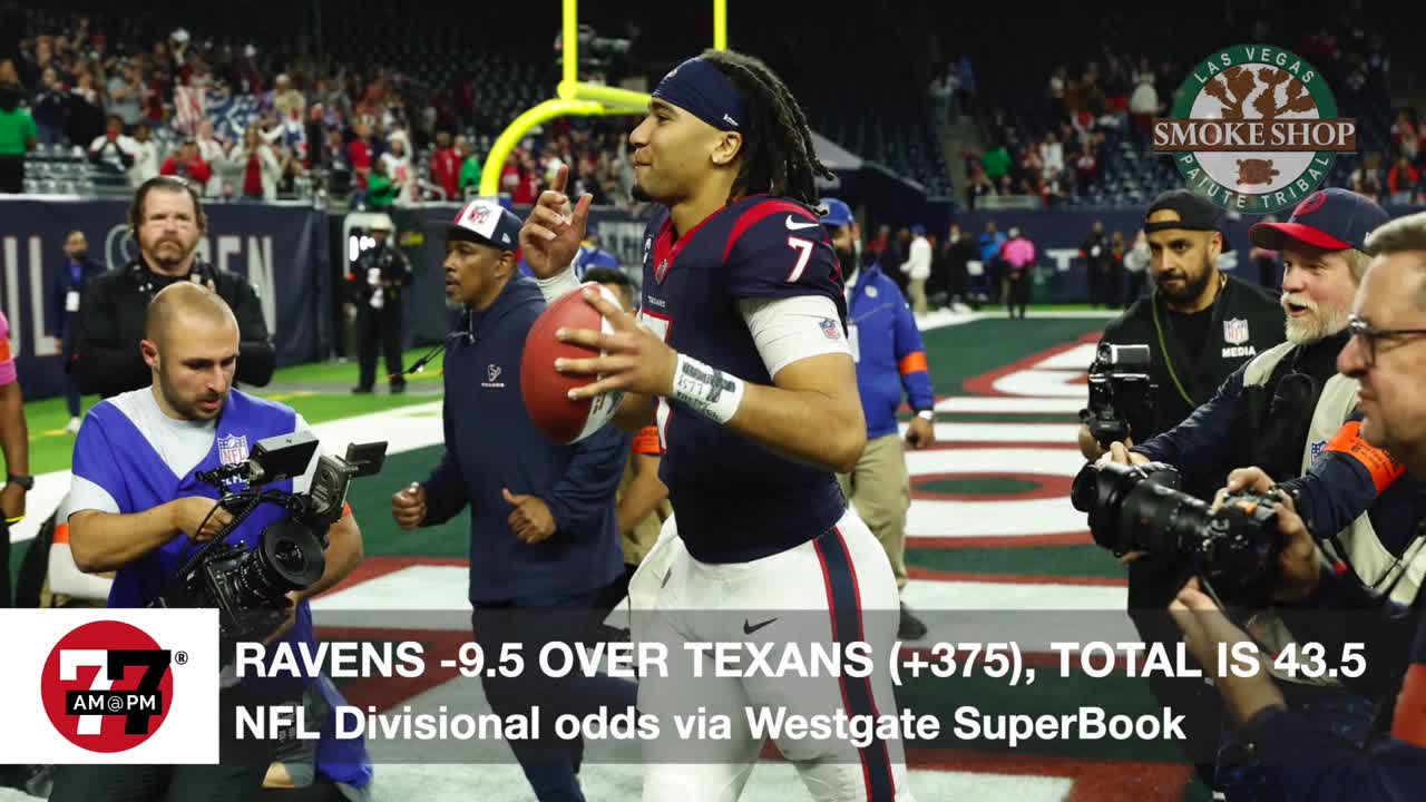 NFL Divisional odds