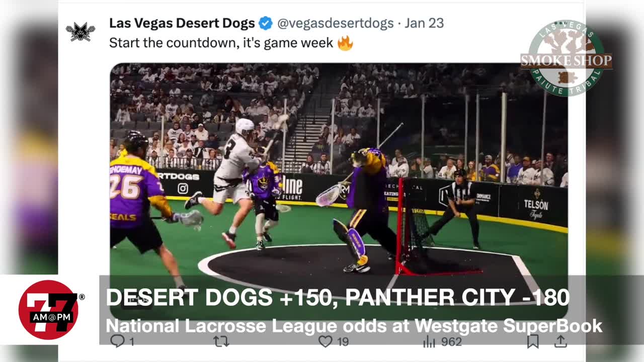 Desert Dogs vs Panthers odds
