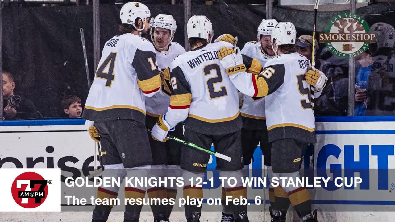 Golden Knights 12-1 to win Stanley Cup