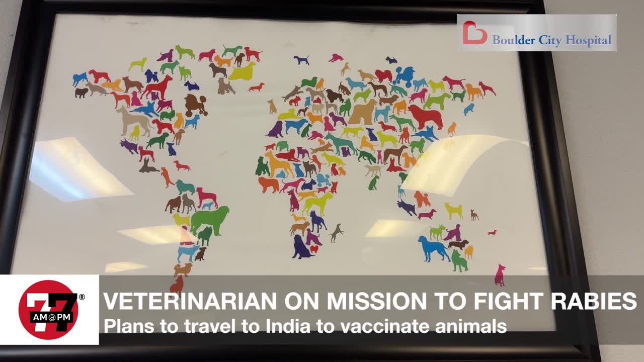 Veterinarian on mission to fight rabies