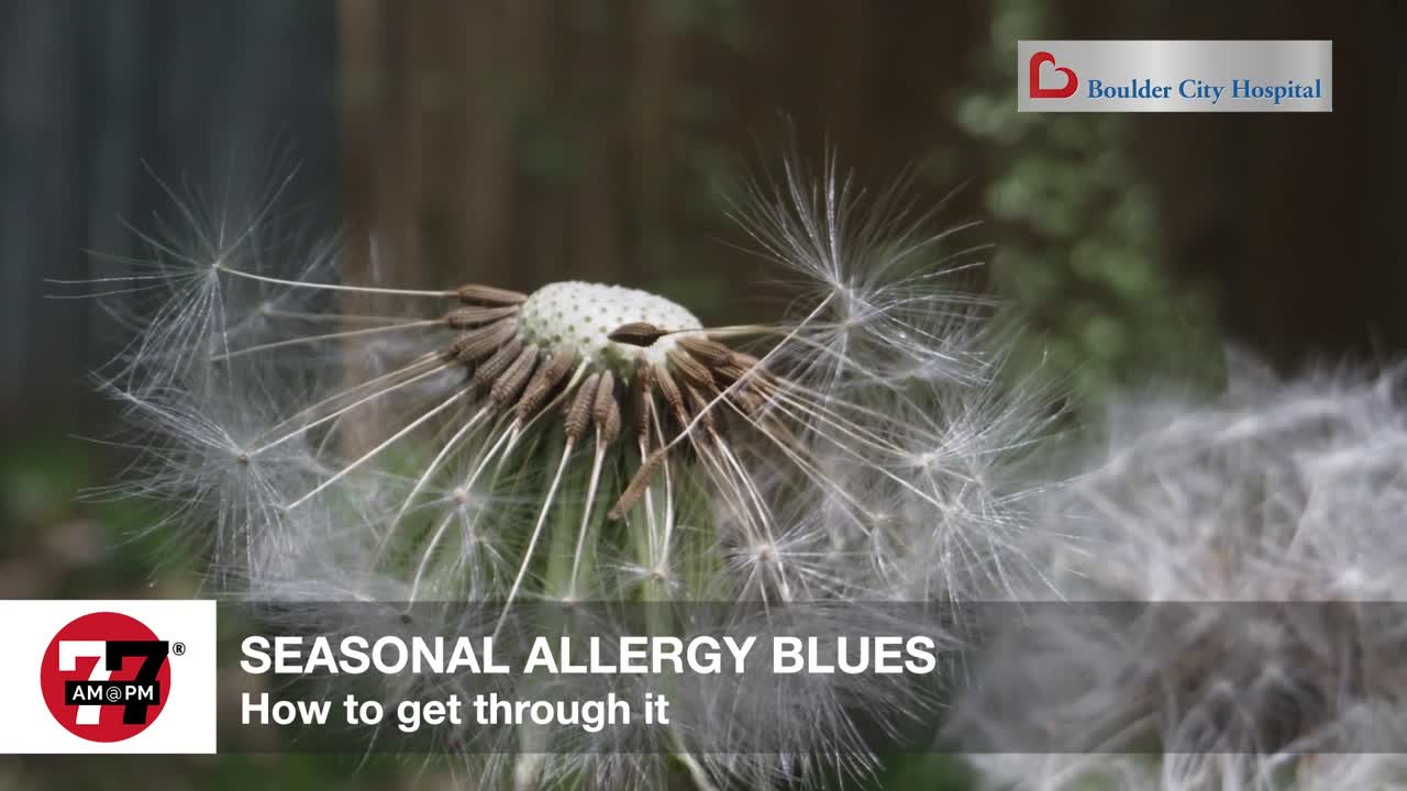 How to get through seasonal allergies