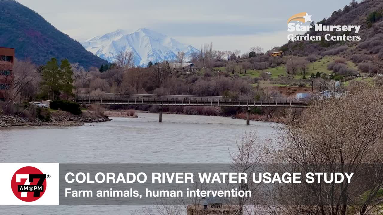 Colorado river water usage study