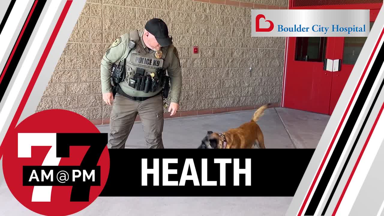 Two K-9’s back to work after drug scare