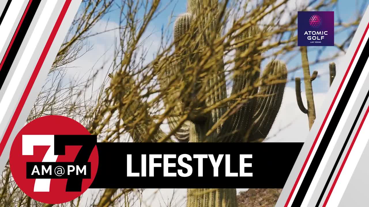 Why Saguaros don't grow in Las Vegas