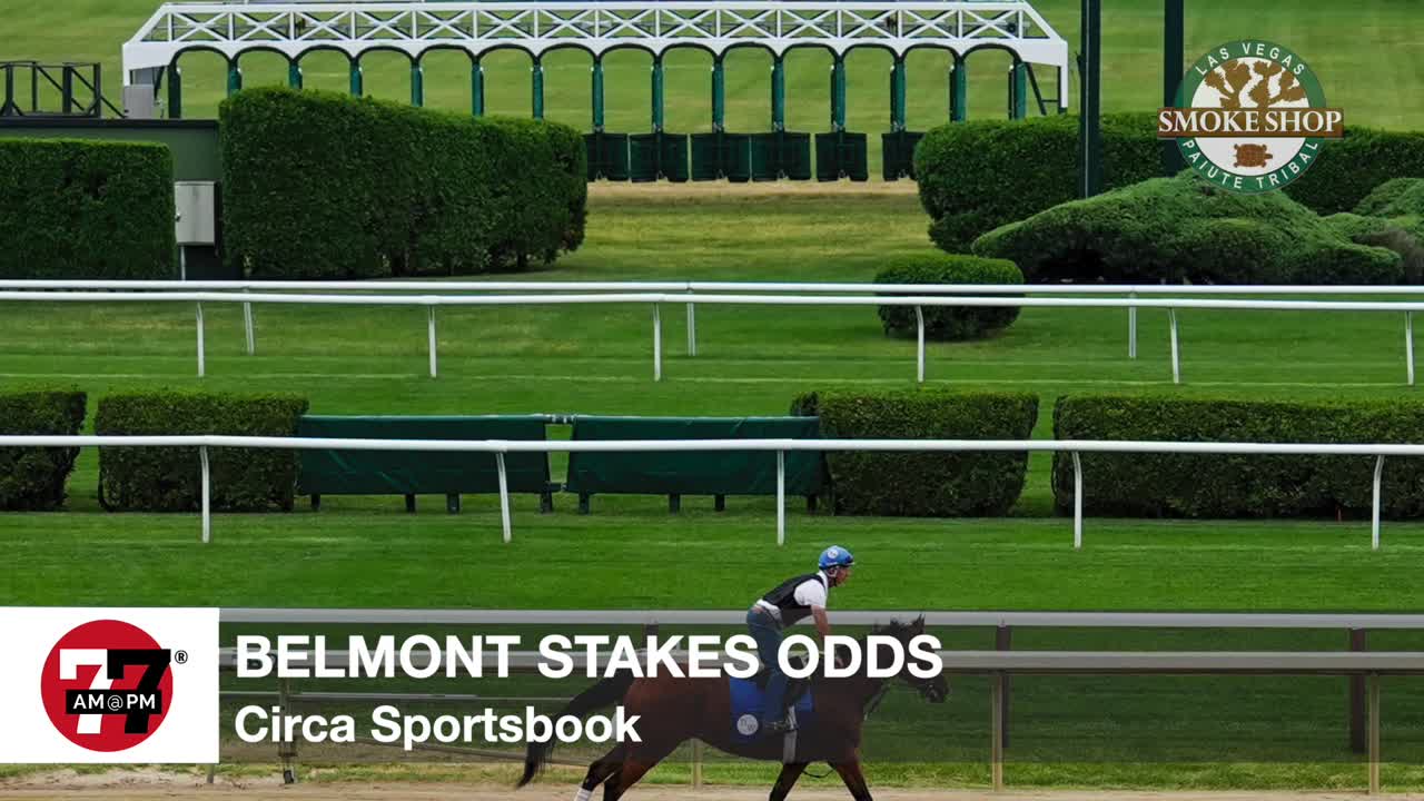 Belmont stakes odds