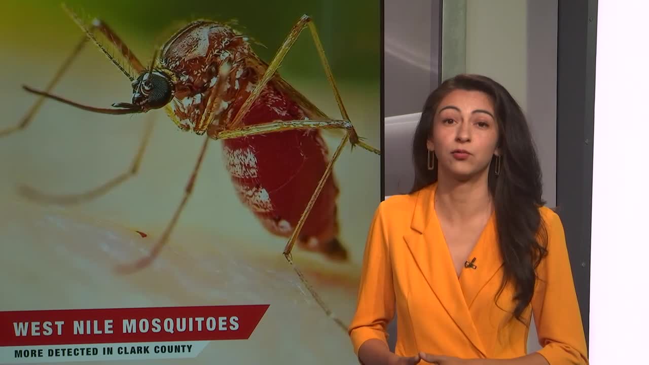 Mosquitoes with West Nile found in 16 zip codes