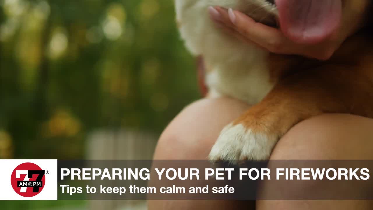 How should pet owners prepare for 4th of July fireworks?