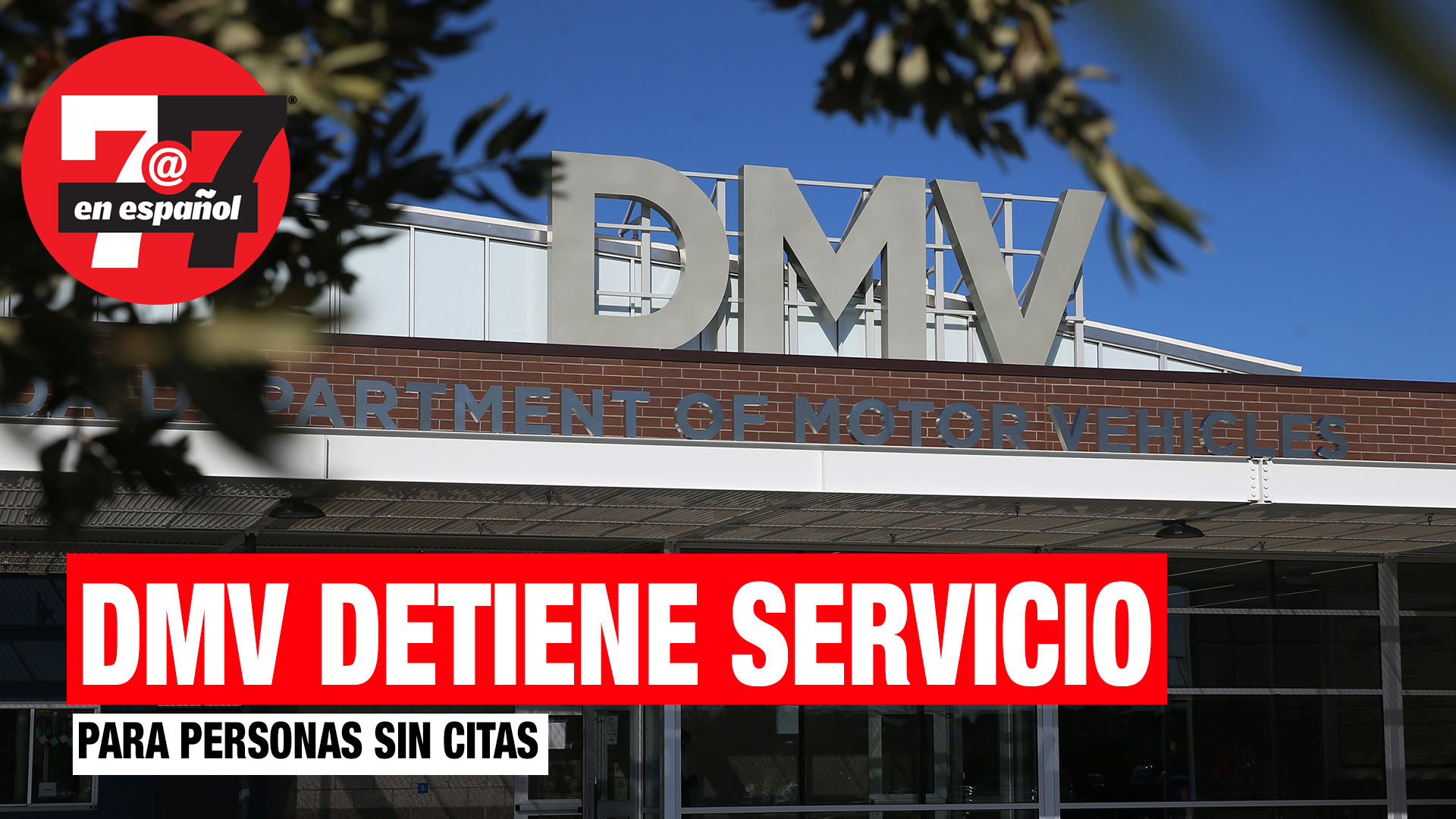 Noticias de Las Vegas | DMV detiene servicios para personas sin cita