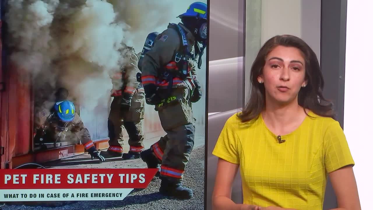 Pet fire safety tips in case of emergency