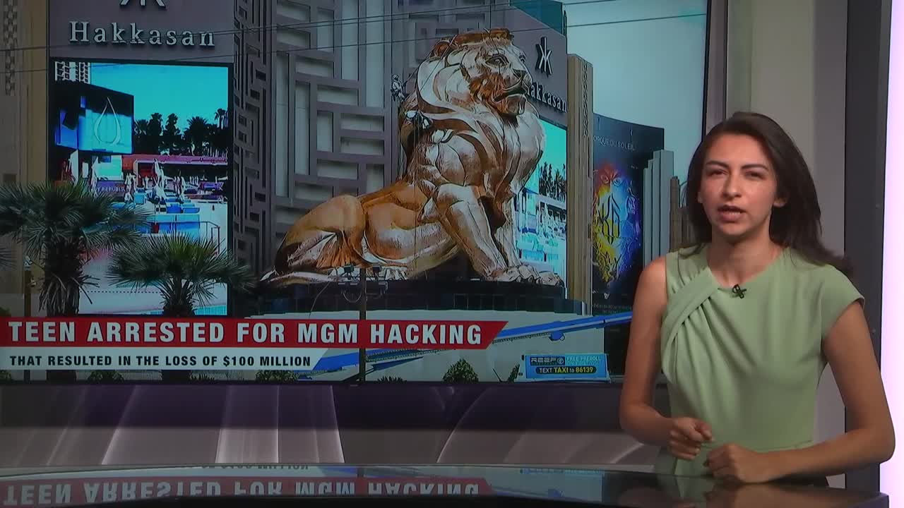 Teen arrested for MGM hacking