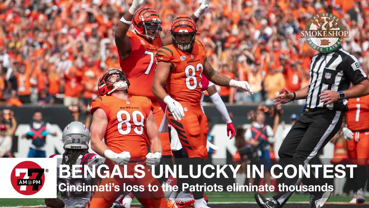 Bengals loss to Patirots eliminate thousands