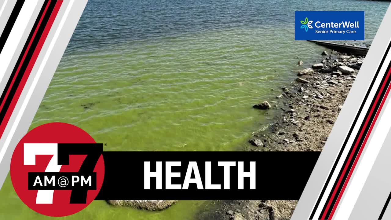 Toxic algae blooms are spreading at Lake Mohave