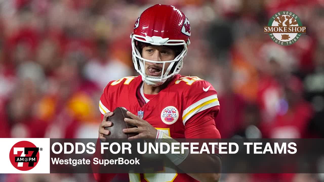 Odds for undefeated teams for NFL 2024 season