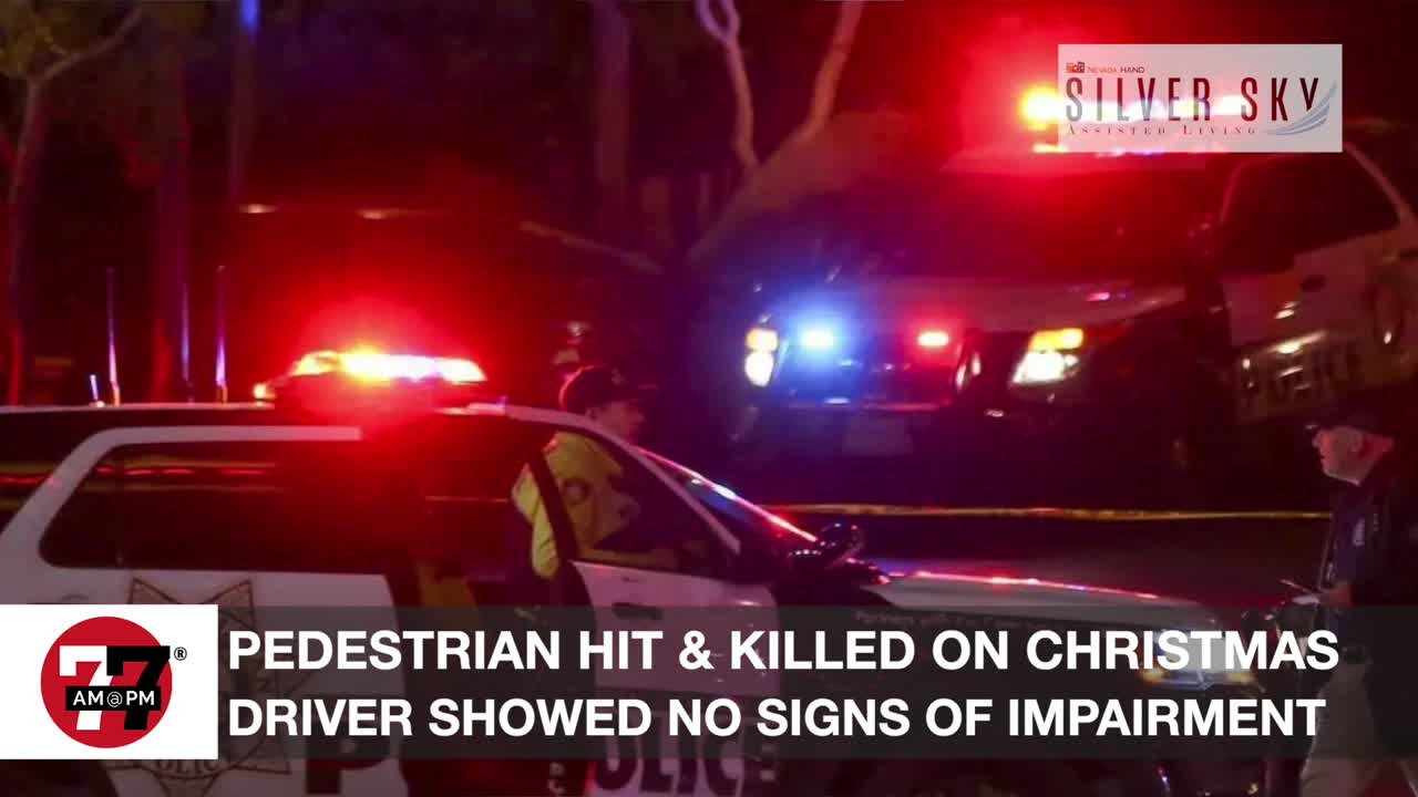 Pedestrian hit and killed on Christmas