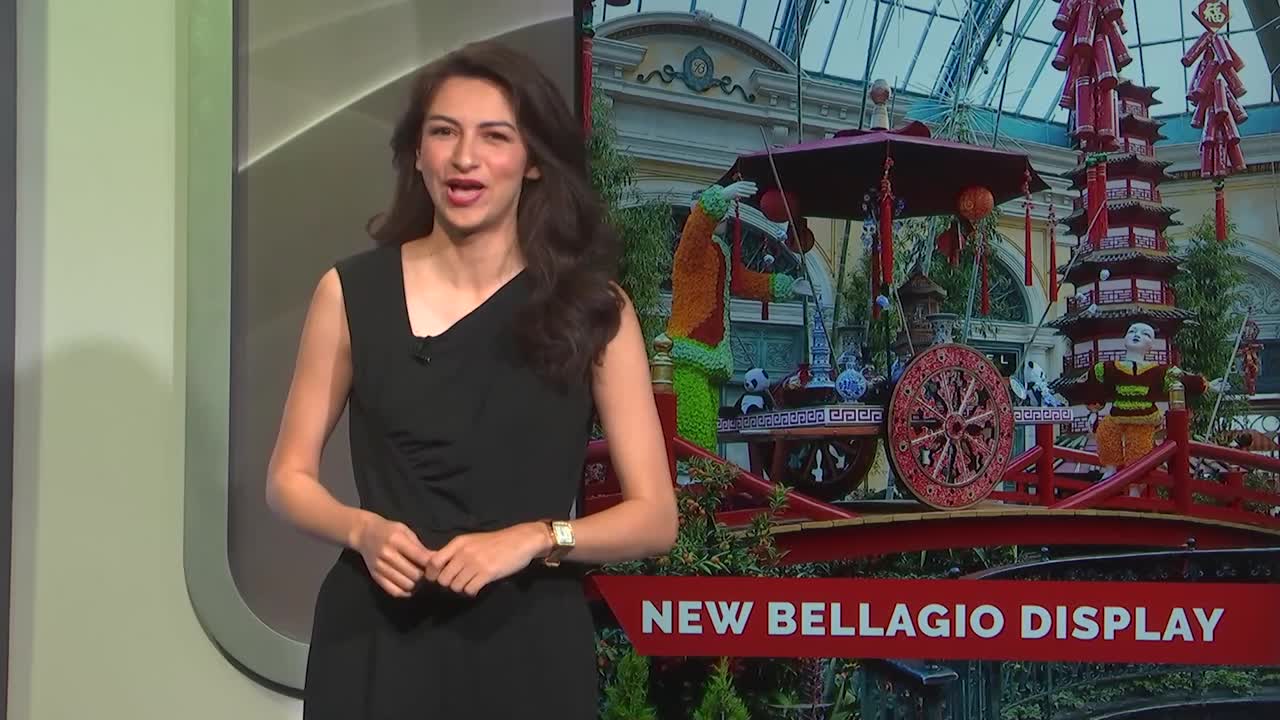 Year of the Snake' display slithers into Bellagio gardens