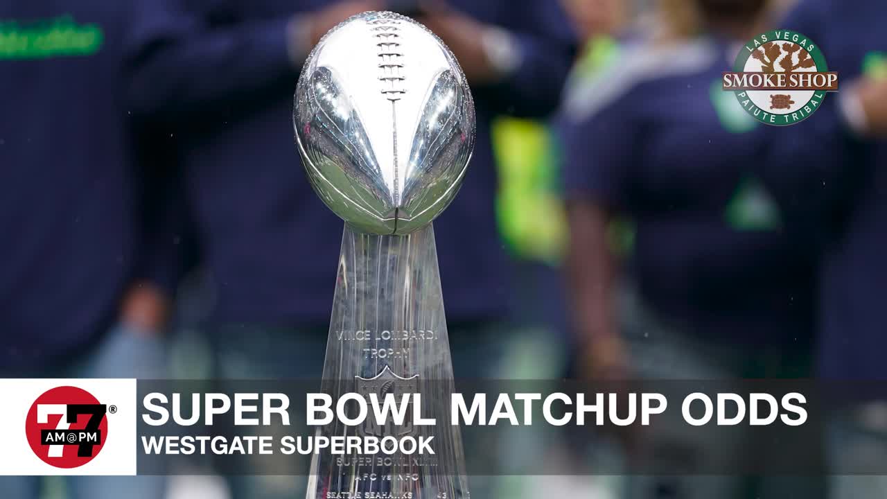 Super Bowl Matchup odds