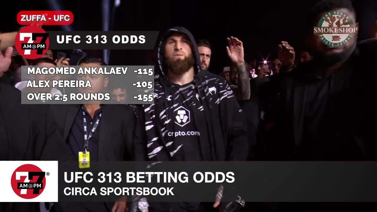 UFC 313 betting odds