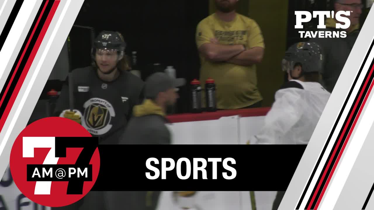 VGK players on the mend