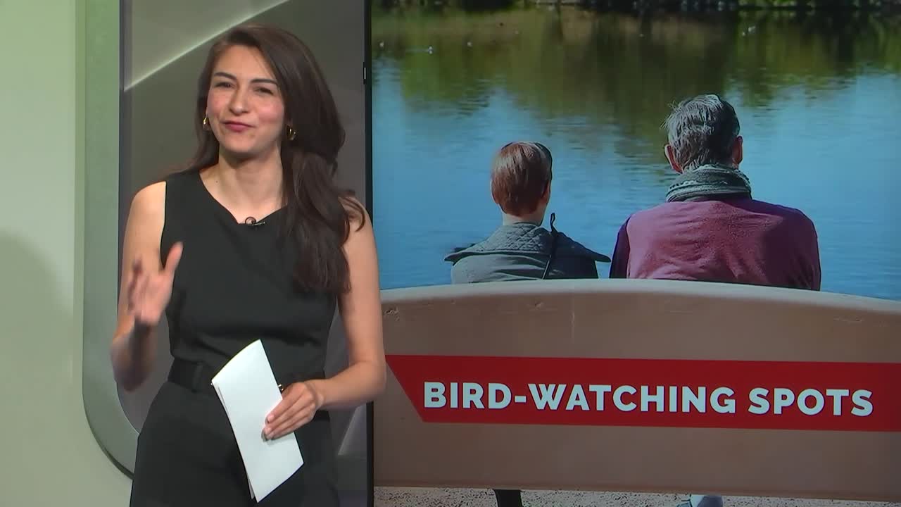 5 hot spots for bird-watching in Las Vegas